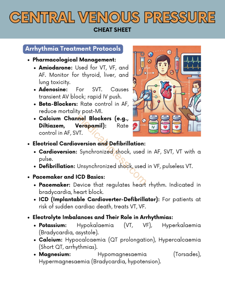 Screenshot 2024-12-17 at 9.36.17 PM